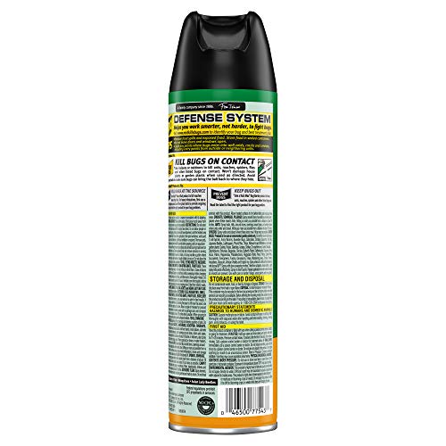 Raid House & Garden Insect Killer Spray, For Listed Ant, Roach, Sp...