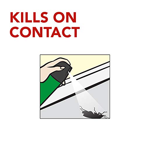 Raid House & Garden Insect Killer Spray, For Listed Ant, Roach, Sp...