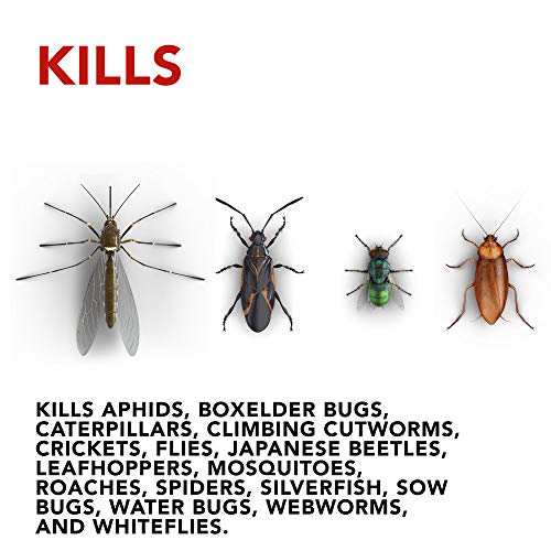 Raid House & Garden Insect Killer Spray, For Listed Ant, Roach, Sp...