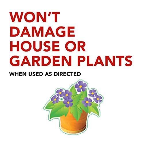 Raid House & Garden Insect Killer Spray, For Listed Ant, Roach, Sp...