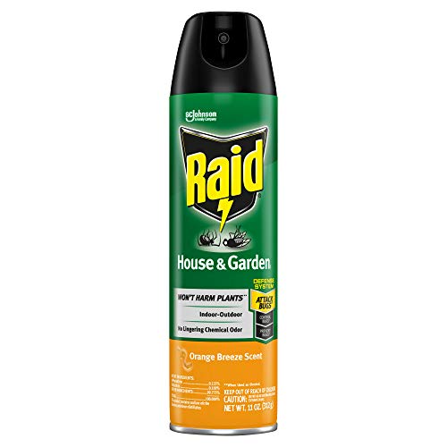 Raid House & Garden Insect Killer Spray, For Listed Ant, Roach, Sp...
