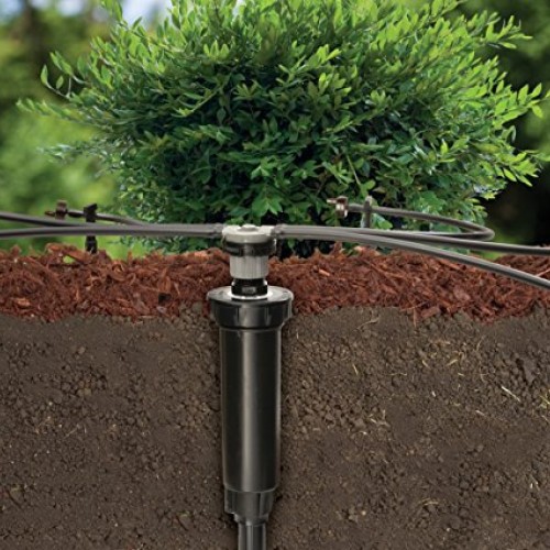 Rain Bird CNV182EMS Drip Irrigation Sprinkler Conversion Kit, 1800...