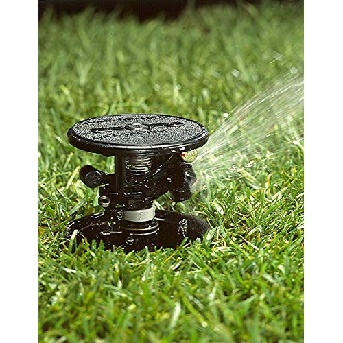 Rain Bird LG3HE In-Ground Impact Sprinkler with Click-N-Go Hose Co...