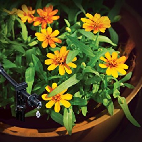 Rain Bird PATIOKIT Drip Irrigation Patio Watering Kit, Connects to...