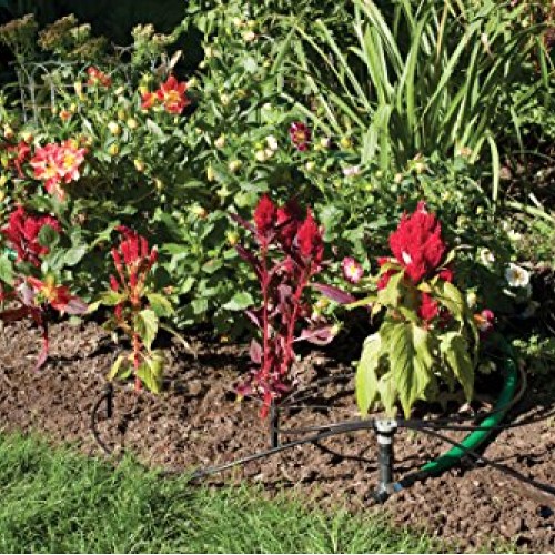 Rain Bird SWDMSPKIT Drip Irrigation Spot Watering Manifold on a Sp...