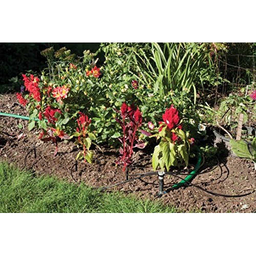 Rain Bird SWDMSPKIT Drip Irrigation Spot Watering Manifold on a Sp...