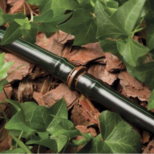 Rain Bird T63-100 Drip Irrigation 1/2 0.634 OD Blank Distribut...