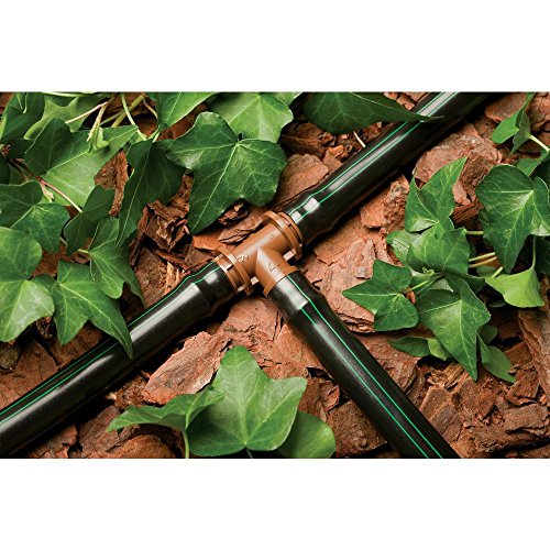 Rain Bird T63-100 Drip Irrigation 1/2 0.634 OD Blank Distribut...