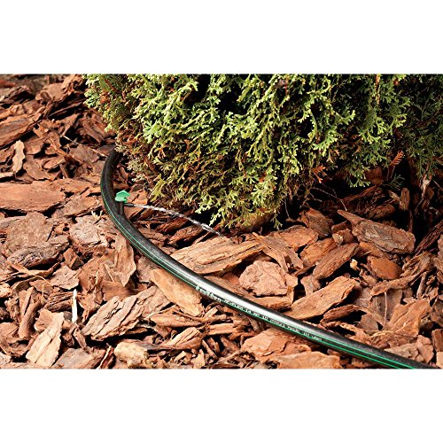 Rain Bird T63-100 Drip Irrigation 1/2 0.634 OD Blank Distribut...