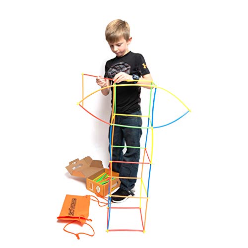 RAINBOW TOYFROG Straw Constructor STEM Building Toys 300 pcs Inter...
