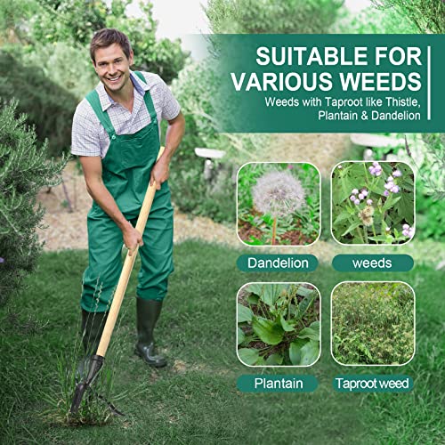 Rakukiri Weed Puller Tool Stand Up Heavy Duty Weed Pulling Tool wi...
