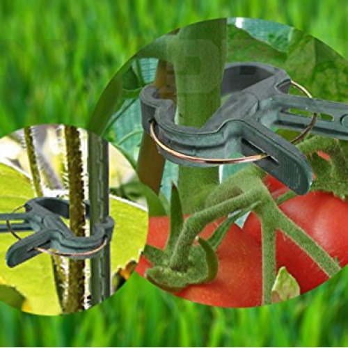 Ram-Pro 40 Piece Green Gentle Gardening Plant & Flower Lever Loop ...