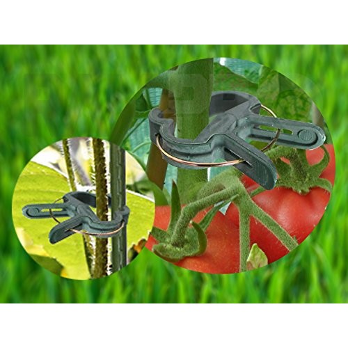 Ram-Pro 40 Piece Green Gentle Gardening Plant & Flower Lever Loop ...