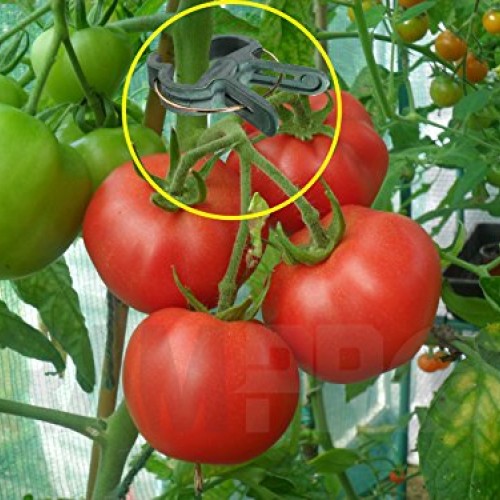 Ram-Pro 40 Piece Green Gentle Gardening Plant & Flower Lever Loop ...
