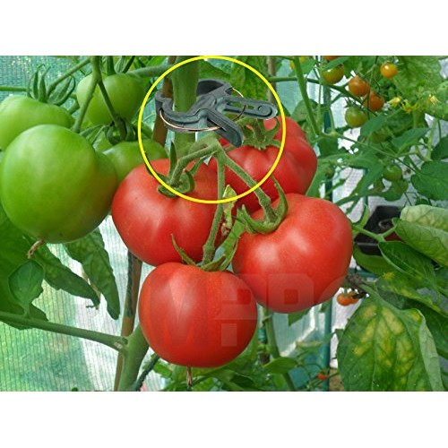 Ram-Pro 40 Piece Green Gentle Gardening Plant & Flower Lever Loop ...