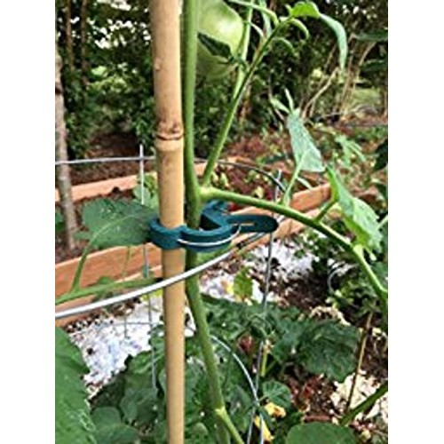 Ram-Pro 40 Piece Green Gentle Gardening Plant & Flower Lever Loop ...