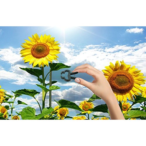 Ram-Pro 40 Piece Green Gentle Gardening Plant & Flower Lever Loop ...