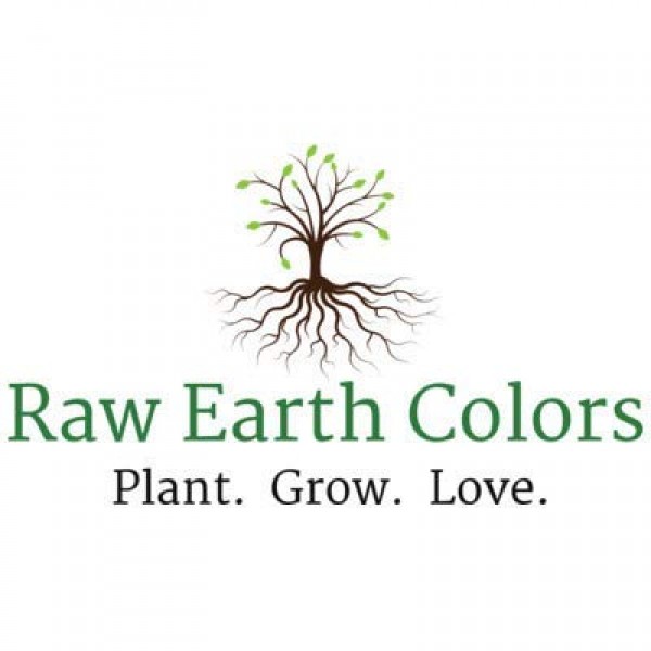 Romaine Lettuce Seeds for Hydroponics or Planting an Indoor or Out...
