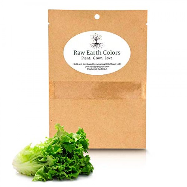 Romaine Lettuce Seeds for Hydroponics or Planting an Indoor or Out...