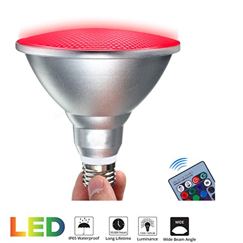 RAYWAY Par38 LED RGB Spotlight Bulb Outdoor, 20W Waterproof Dimmab...