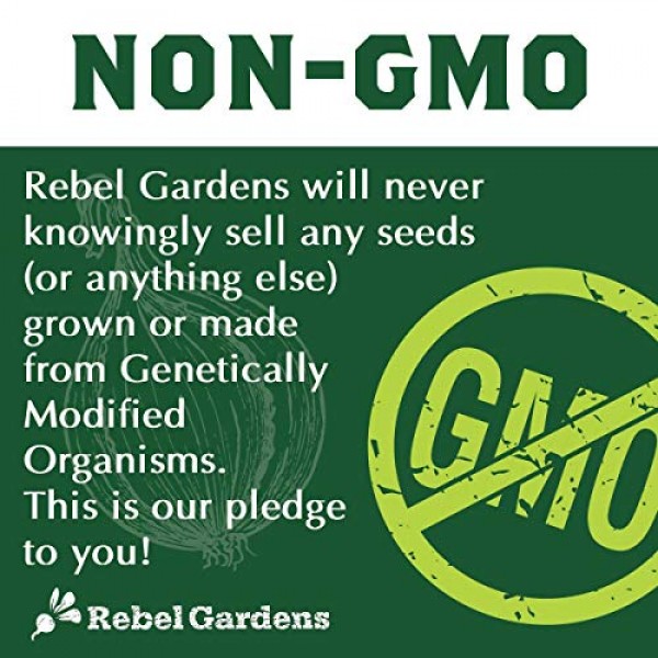Organic Basil Seeds - Set of 7 Heirloom Non-GMO Seed - Thai, Genov...