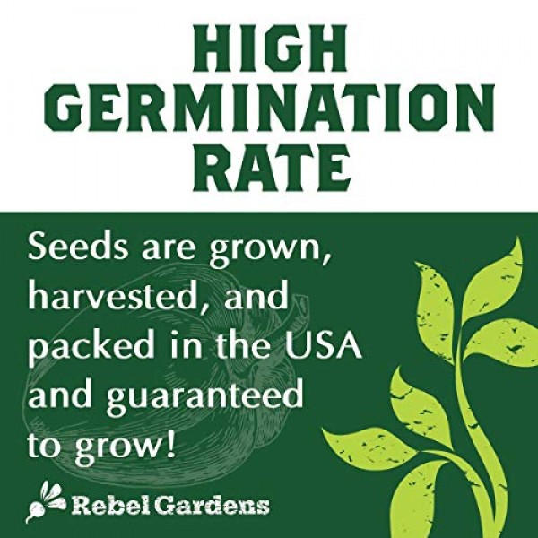 Organic Basil Seeds - Set of 7 Heirloom Non-GMO Seed - Thai, Genov...