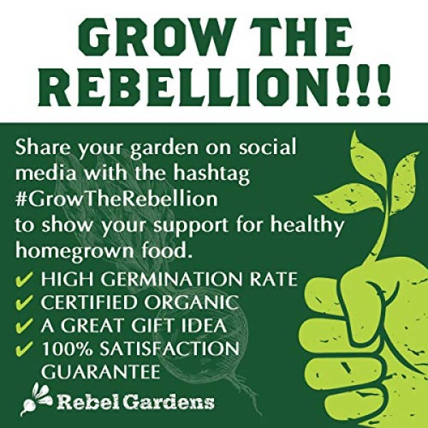 Rebel Gardens Heirloom Kale Seeds - 5 Varieties of Organic Non GMO...