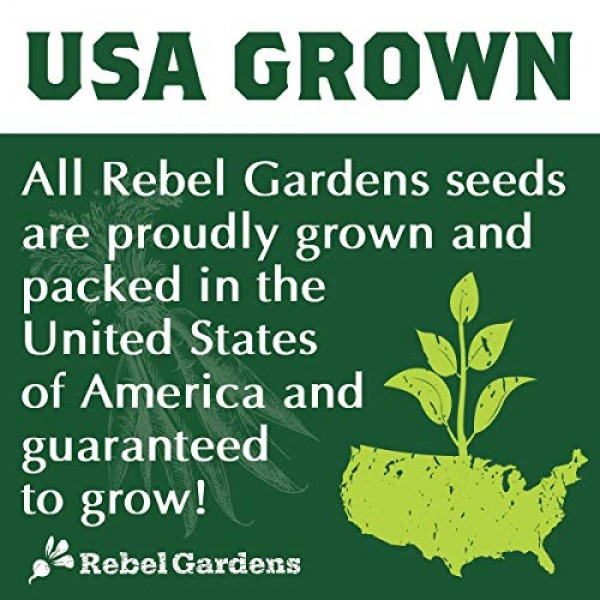 Rebel Gardens Heirloom Kale Seeds - 5 Varieties of Organic Non GMO...