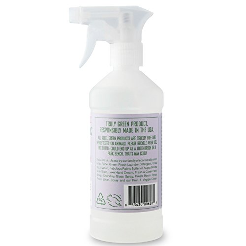 Rebel Green Natural All-Purpose Cleaner Spray - Kid Safe, Pet Safe...