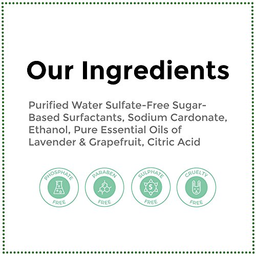 Rebel Green Natural All-Purpose Cleaner Spray - Kid Safe, Pet Safe...
