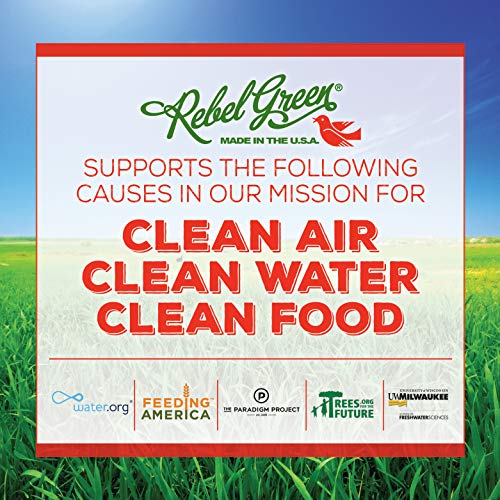 Rebel Green Natural All-Purpose Cleaner Spray - Kid Safe, Pet Safe...