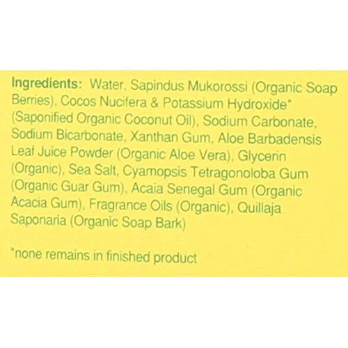 Rebel Green Natural Laundry Detergent, Certified Organic and Hypoa...