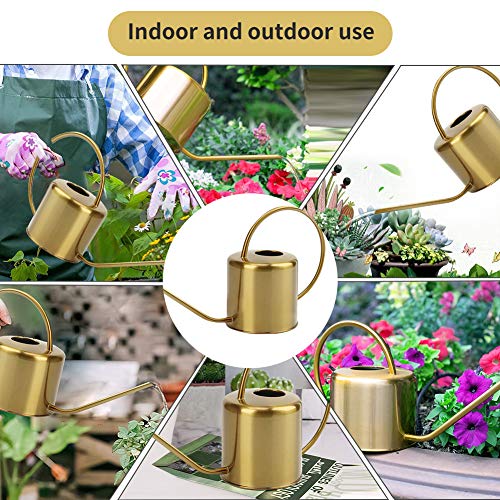 Recie Watering Can for Indoor Outdoor Plants 0.4 Gallon, 50oz Retr...