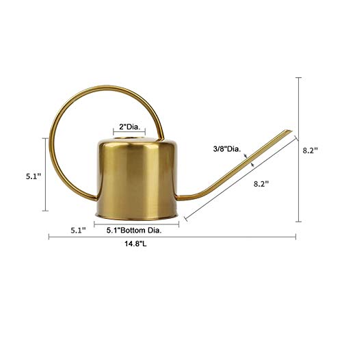 Recie Watering Can for Indoor Outdoor Plants 0.4 Gallon, 50oz Retr...