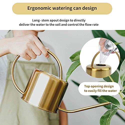 Recie Watering Can for Indoor Outdoor Plants 0.4 Gallon, 50oz Retr...