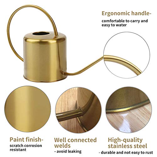 Recie Watering Can for Indoor Outdoor Plants 0.4 Gallon, 50oz Retr...