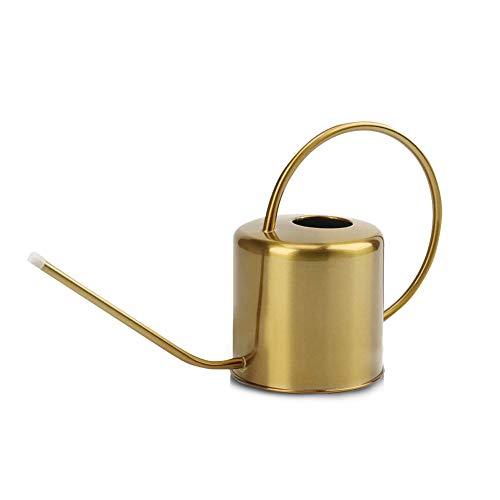 Recie Watering Can for Indoor Outdoor Plants 0.4 Gallon, 50oz Retr...