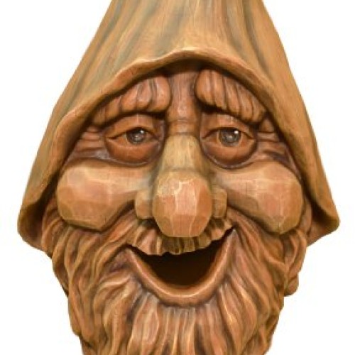 Red Carpet Studios Birdie in the Woods Birdhouse, Harry Face