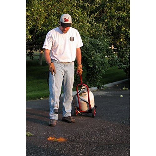 Red Dragon VT 3-30 SVC 500,000 BTU Heavy Duty Propane Vapor Torch ...