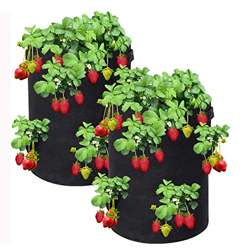 Reeyox Strawberry Grow Bag, 2 Pack 10 Gallon Strawberry Plant Bag ...