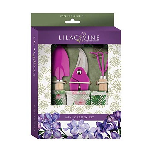 Regal Art & Gifts Lilac & Vine Capri Garden Mini Garden Kit Set/4 ...