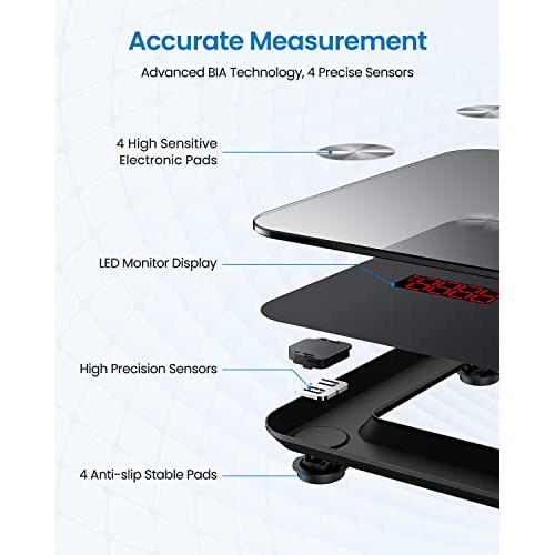 RENPHO Scale for Body Weight, Digital Weighing Elis Scales with Bo...