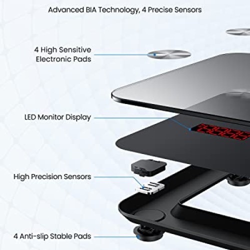 RENPHO Scale for Body Weight, Digital Weighing Elis Scales with Bo...