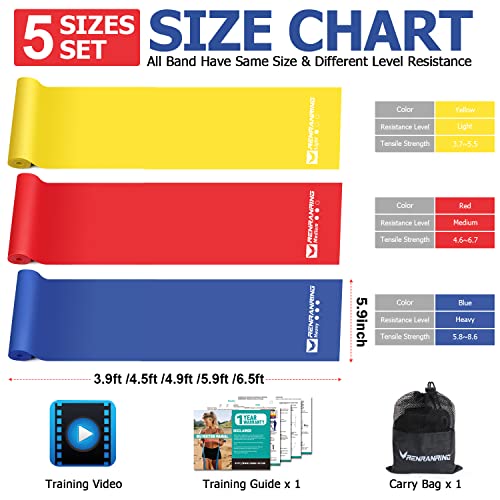 5.9FT Resistance Bands Set, Exercise Bands for Physical Therapy, Y...