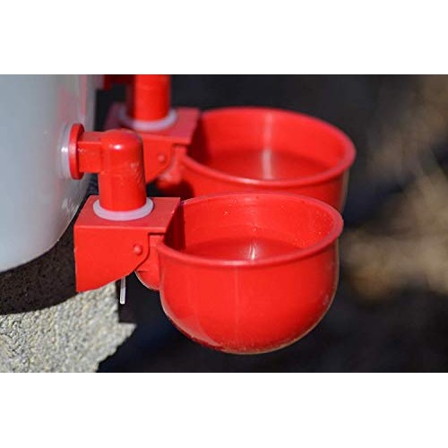 RentACoop Automatic Chicken Water Nipple Cup Waterer Kit for Poult...