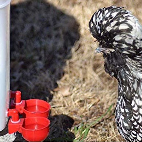 RentACoop Automatic Chicken Water Nipple Cup Waterer Kit for Poult...