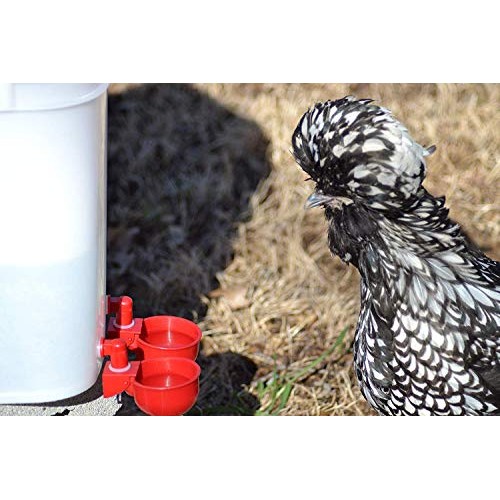 RentACoop Automatic Chicken Water Nipple Cup Waterer Kit for Poult...