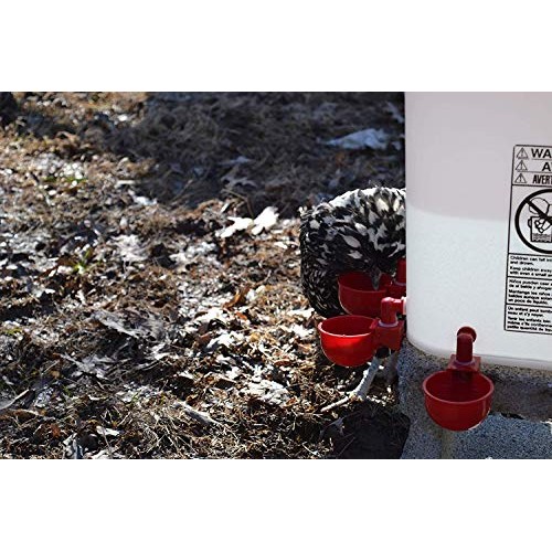 RentACoop Automatic Chicken Water Nipple Cup Waterer Kit for Poult...