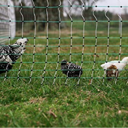 RentACoop Poultry Netting Electric Fence 48 H x 164 L