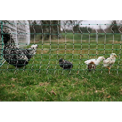 RentACoop Poultry Netting Electric Fence 48 H x 164 L